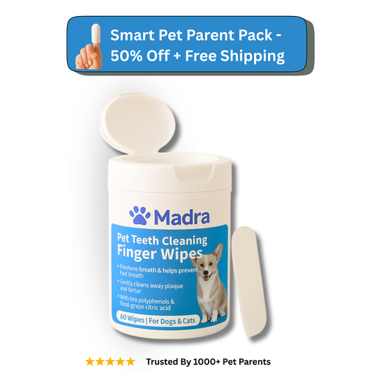 MADRA Wipes - The Guilt-Free, Safe Fix For Pets
