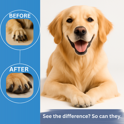 Madra Nail Trimmer - End Nail Trim Drama